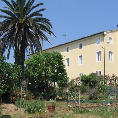 Casa Marce A "Sonno" Bed & Breakfast Porcari Dış mekan fotoğraf