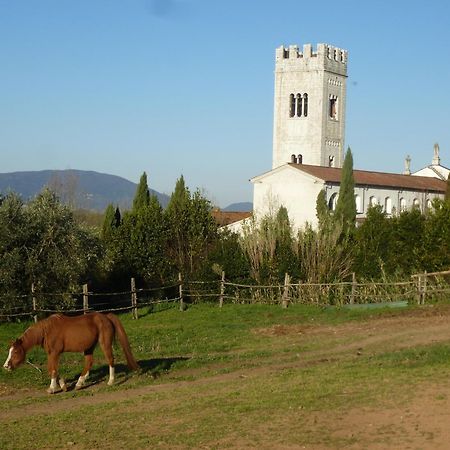 Casa Marce A "Sonno" Bed & Breakfast Porcari Dış mekan fotoğraf