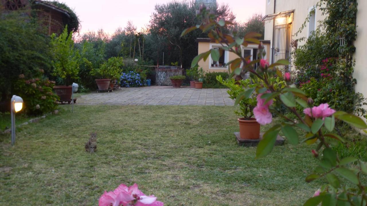 Casa Marce A "Sonno" Bed & Breakfast Porcari Dış mekan fotoğraf