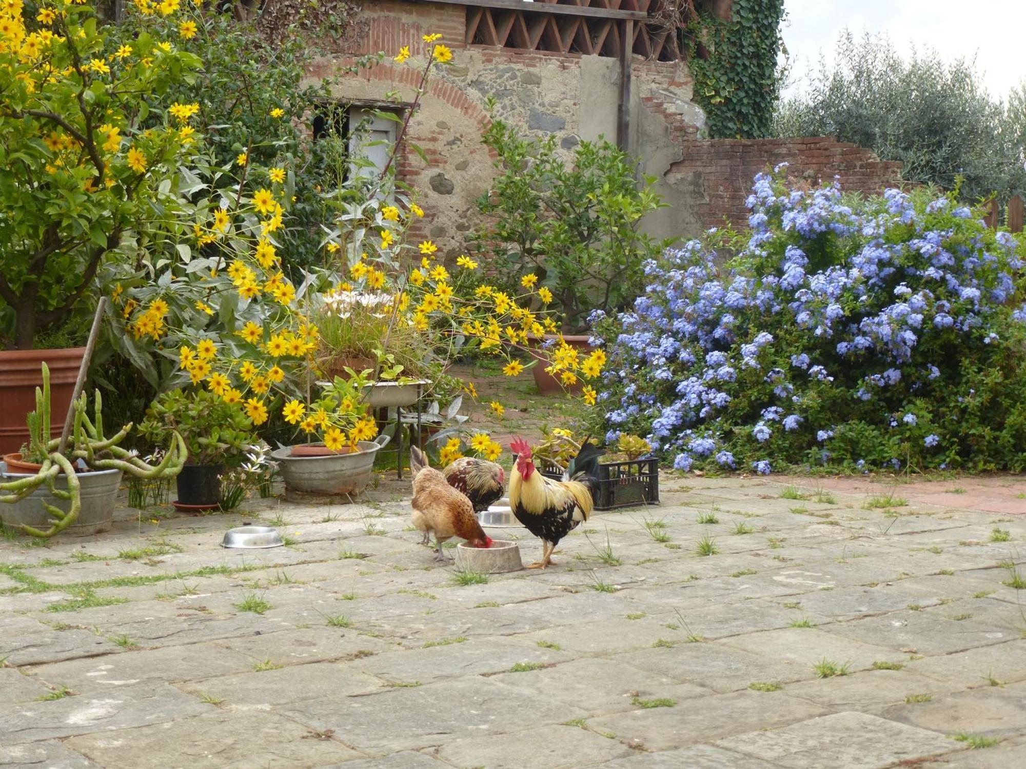 Casa Marce A "Sonno" Bed & Breakfast Porcari Dış mekan fotoğraf