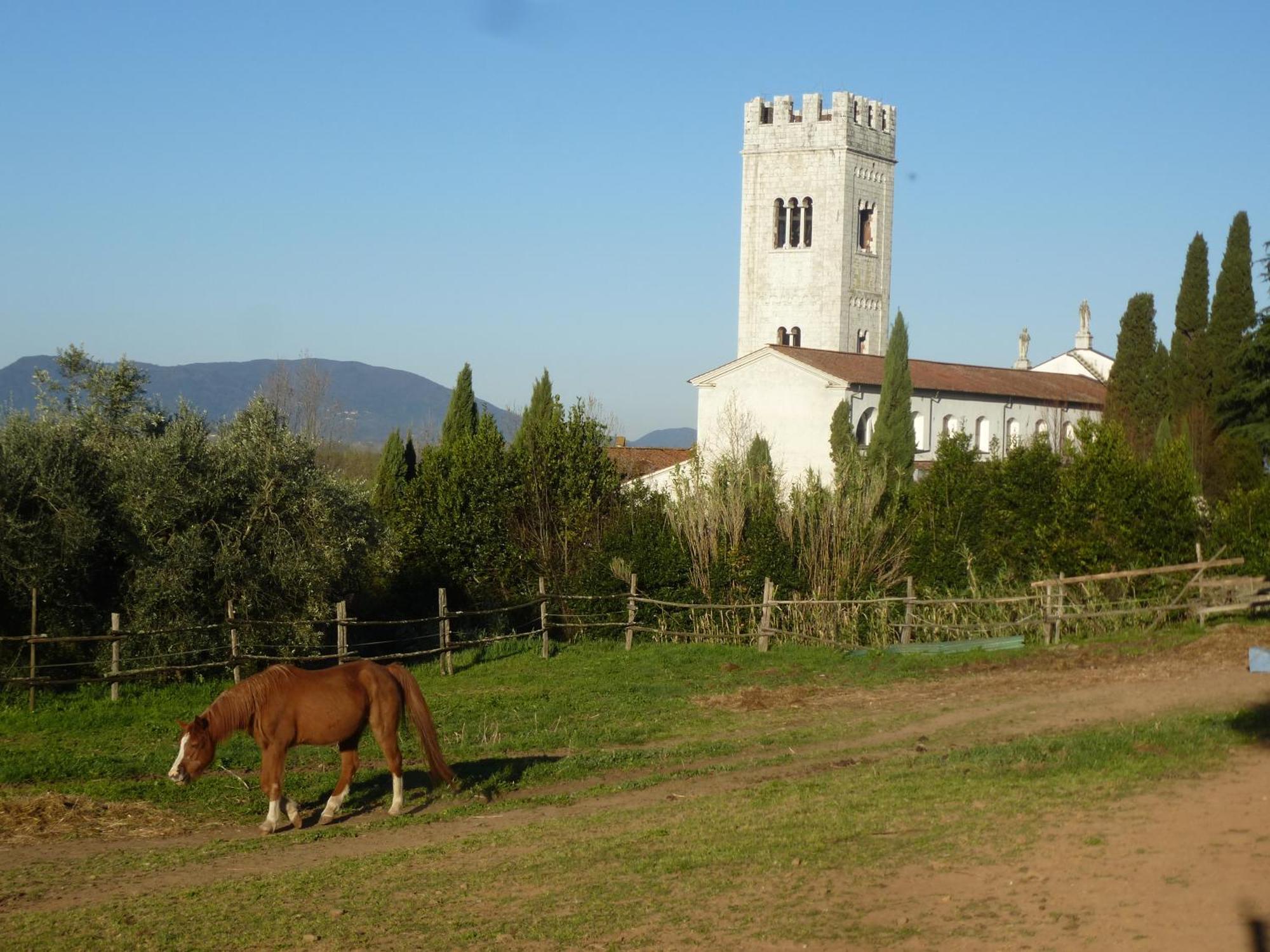 Casa Marce A "Sonno" Bed & Breakfast Porcari Dış mekan fotoğraf